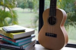 Ukulele image